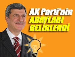 AK Parti'nin adayları belirlendi