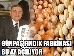 Günpaş Fındık Fabrikası bu ay açılıyor