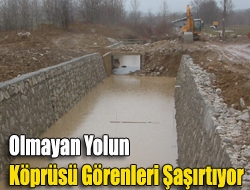 Olmayan yolun köprüsü görenleri şaşırtıyor.