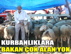 Kurbanlıklara bakan çok alan yok