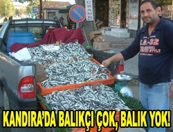 Kandırada Balıkçı çok, Balık yok!