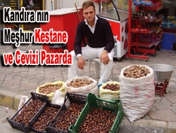 Kandıra'nın Meşhur kestane ve cevizi pazarda