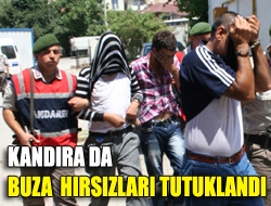 Kandıra da buza hırsızları tutuklandı