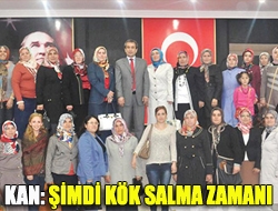 Kan: Şimdi kök salma zamanı