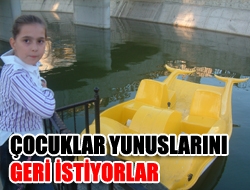 Çocuklar Yunuslarını Geri İstiyorlar