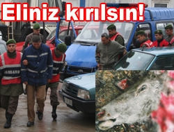 Eliniz kırılsın!