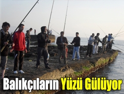 Balıkçıların yüzü gülüyor