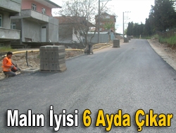 Malın iyisi 6 ayda çıkar