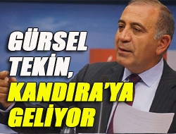 Gürsel Tekin, Kandıraya geliyor