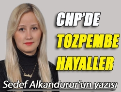 CHPde tozpembe hayaller