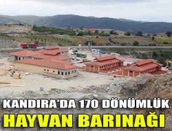 Kandırada 170 dönümlük hayvan barınağı