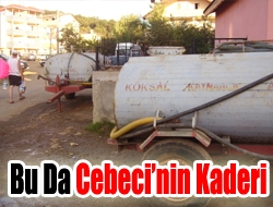 Bu da Cebecinin kaderi