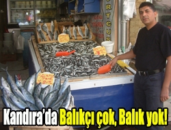 Kandırada Balıkçı çok, Balık yok!