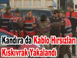 Kandıra’da Kablo hırsızları kıskıvrak yakalandı