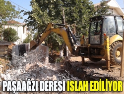 Paşaağzı Deresi ıslah ediliyor