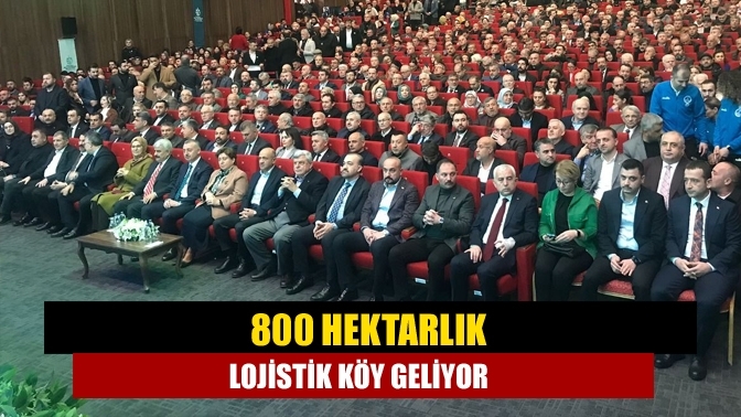 800 hektarlık lojistik köy geliyor