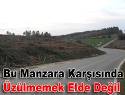 Bu Manzara Karşısında Üzülmemek Elde Değil