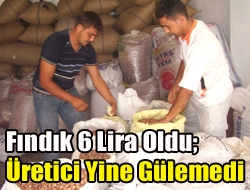 Fındık 6 Lira Oldu; Üretici Yine Gülemedi