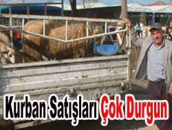 Kandıra’da Kurban satışları çok durgun