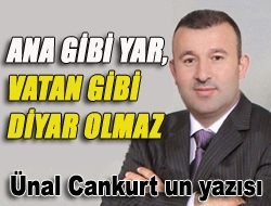 Ana gibi yar, vatan gibi diyar olmaz