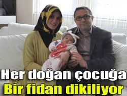 Her doğan çocuğa bir fidan dikiliyor