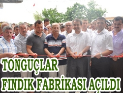 Tonguçlar Fındık Fabrikası açıldı