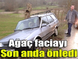 Ağaç faciayı son anda önledi