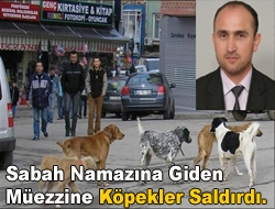 Sabah Namazına Giden Müezzine Köpekler Saldırdı.