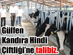 Gülfen Kandıra Hindi Çiftliği'ne talibiz.