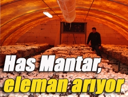 Has Mantar eleman arıyor