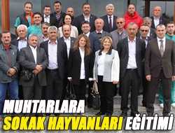 Muhtarlara sokak hayvanları eğitimi