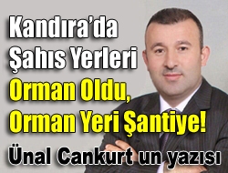 Kandırada şahıs yerleri orman oldu, orman yeri şantiye!