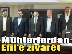 Muhtarlardan Efile ziyaret