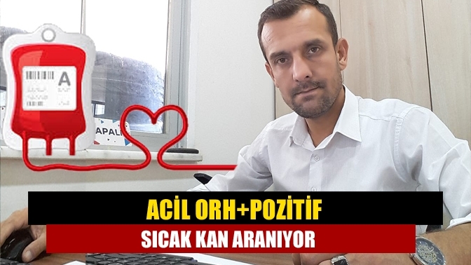 Acil Orh+pozitif sıcak kan aranıyor