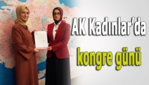 AK Kadınlar’da kongre günü