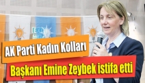 AK Parti Kadın Kolları Başkanı Emine Zeybek istifa etti