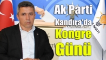 Ak Parti Kandıra'da kongre günü