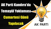 AK Parti Kandıra'da temayül yoklaması Cumartesi Günü Yapılacak