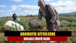 Aromatik bitkilerde Kocaeli öncü oldu