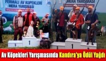 Av köpekleri yarışmasında Kandıra'ya ödül yağdı