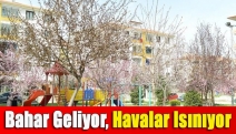 Bahar geliyor, havalar ısınıyor