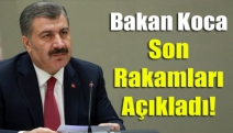 Bakan Koca son rakamları açıkladı!