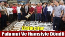 Denize açılan balıkçılar, palamut ve hamsiyle döndü