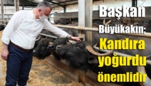 Başkan Büyükakın; Kandıra yoğurdu önemlidir