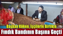 Başkan Köken, İşçilerle Birlikte Fındık Bandının Başına Geçti