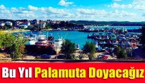 Bu yıl palamuta doyacağız