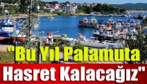 "Bu yıl palamuta hasret kalacağız"