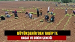 Büyükşehir’den TABİP’te Hasat ve Dikim Şenliği