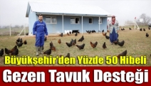 Büyükşehir’den yüzde 50 hibeli gezen tavuk desteği