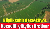 Büyükşehir destekliyor, Kocaelili çiftçiler üretiyor